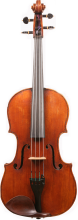 viola