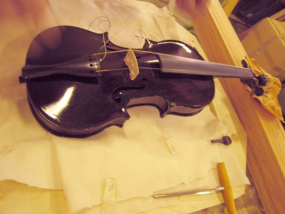 violino nero 005