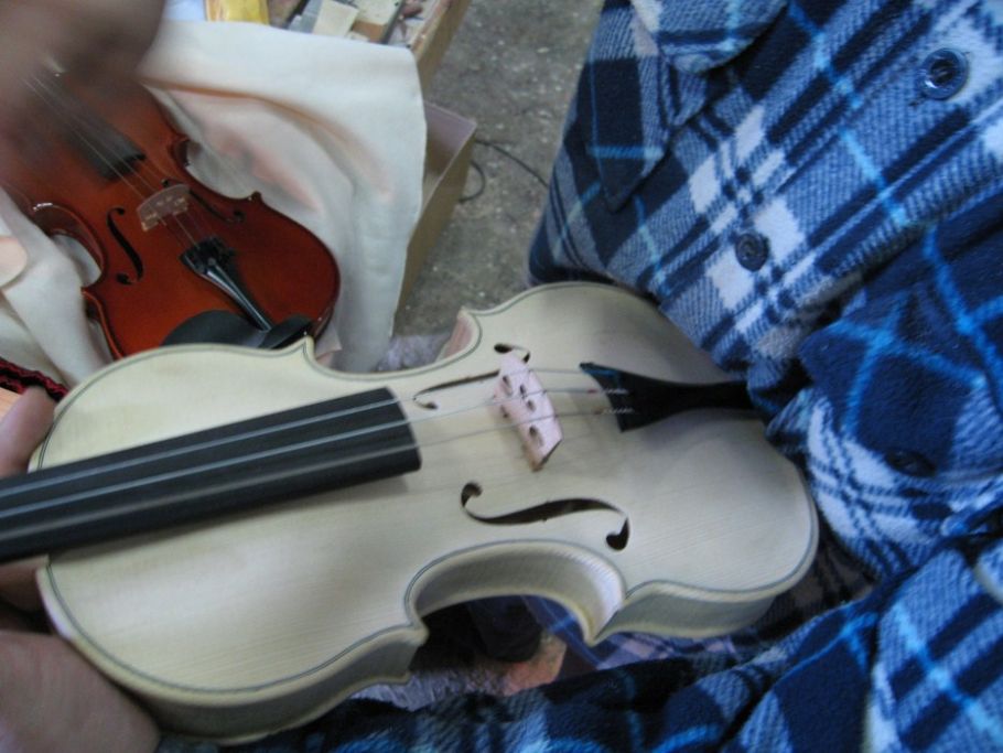 violino 40