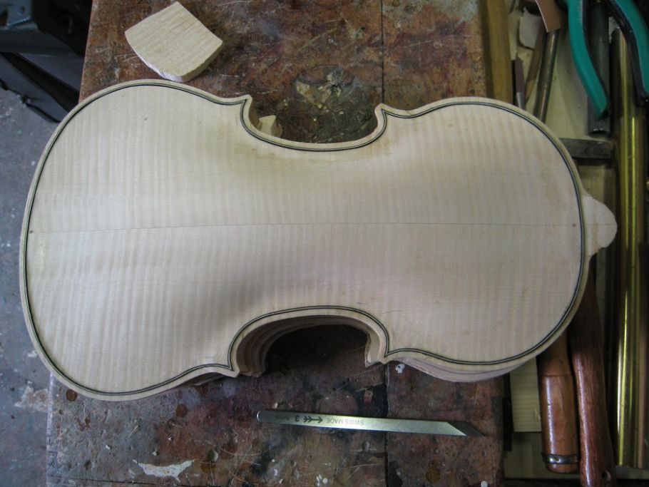 violino25