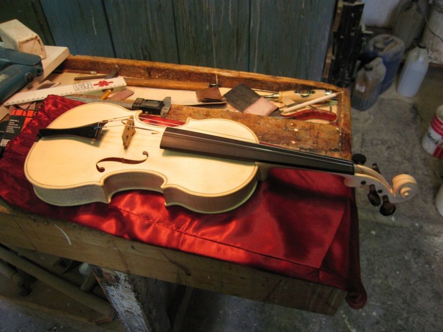 violino 41