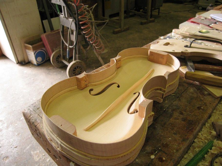 violino 19
