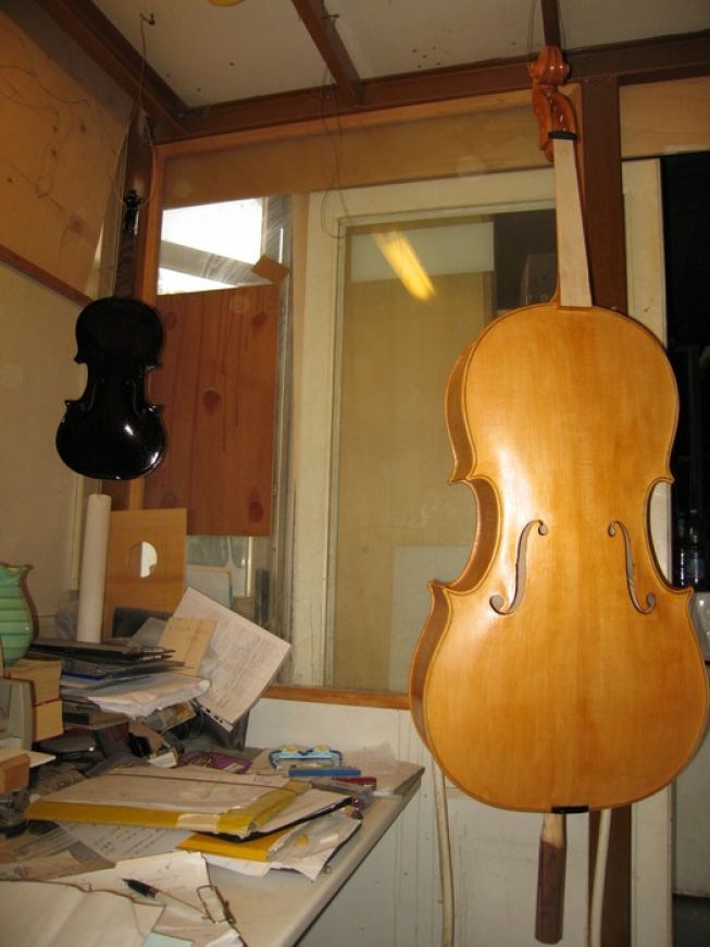 cello 105