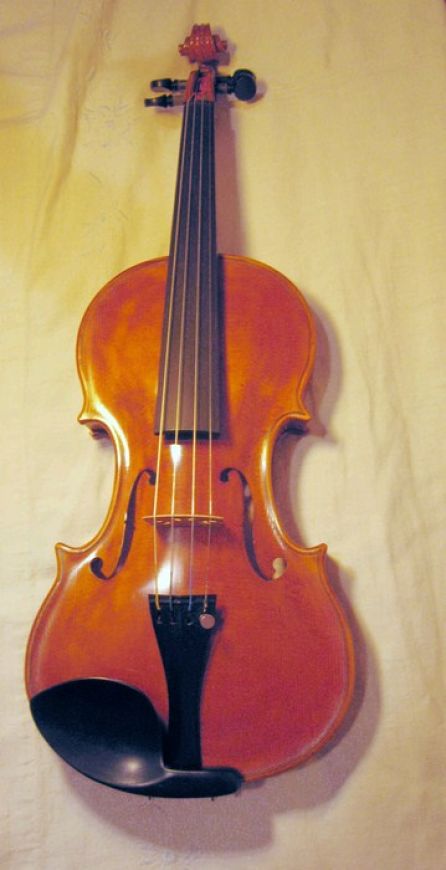 violino 59C