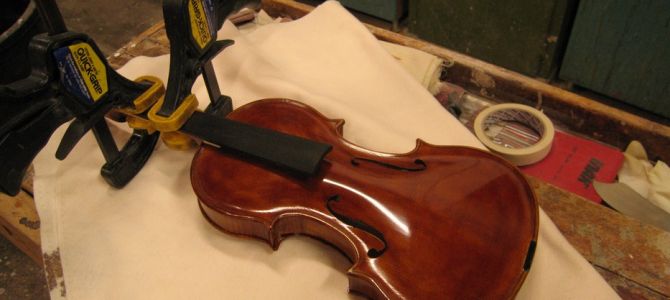 violino 53
