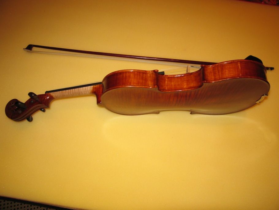 violino miriam 5